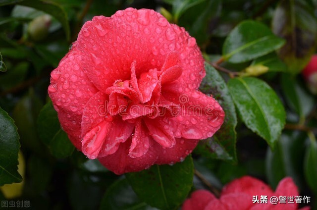 七律诗十首爱国,七律祖国诗