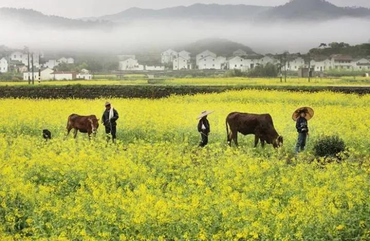 人生很短暂不要自找烦恼开心过好,人生充满了遗憾你不妨大胆一点