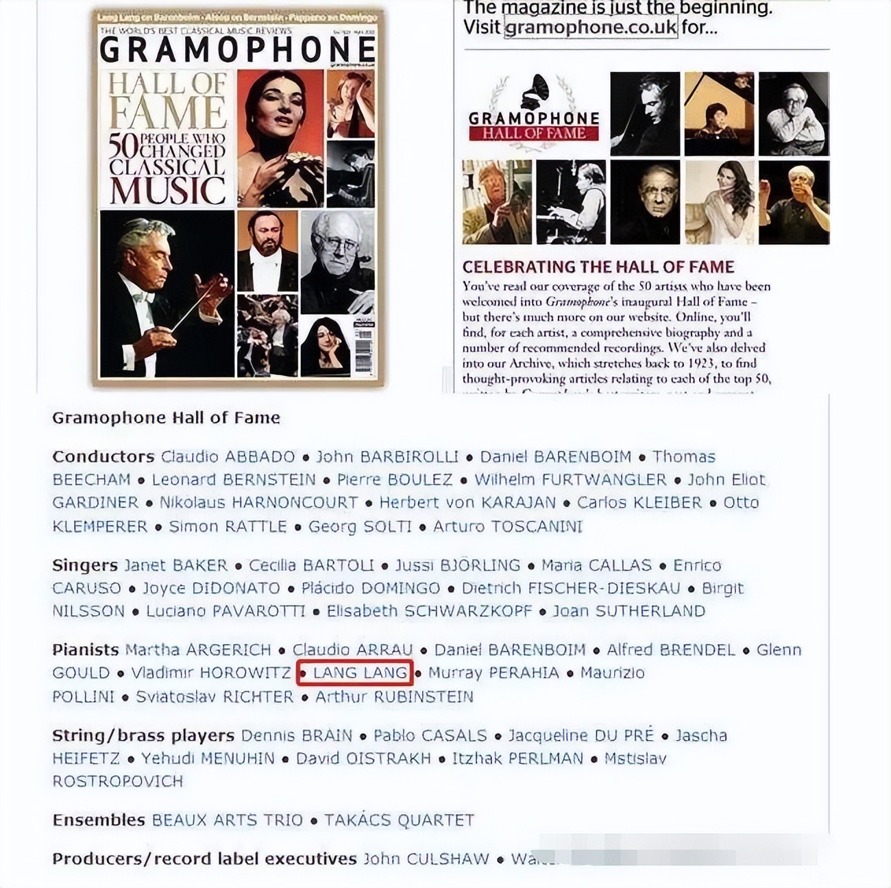 郎朗被骂的经历,郎朗被批评