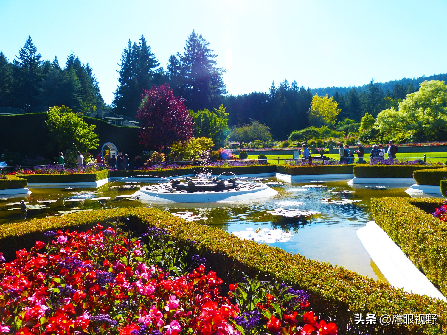 加拿大的维多利亚,加拿大四季如春的城市维多利亚