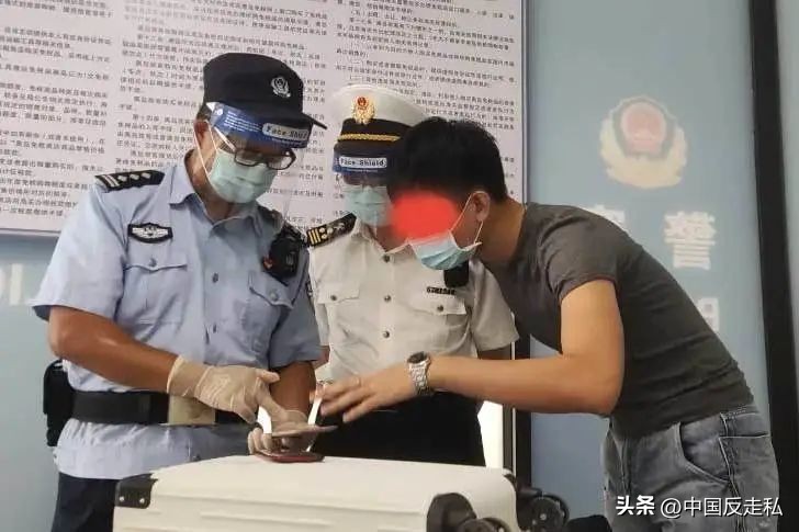 湛江海关缉私局走私最新新闻,湛江海关缉私事件