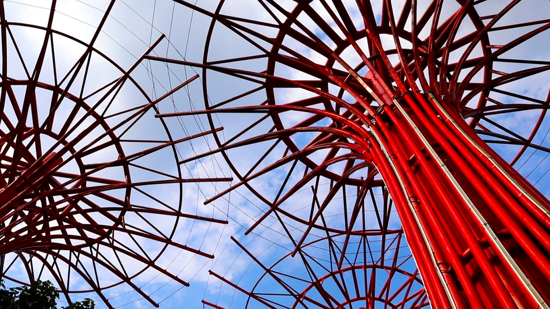 枣强森林公园和千亩森林公园,衡水枣强县天然氧吧