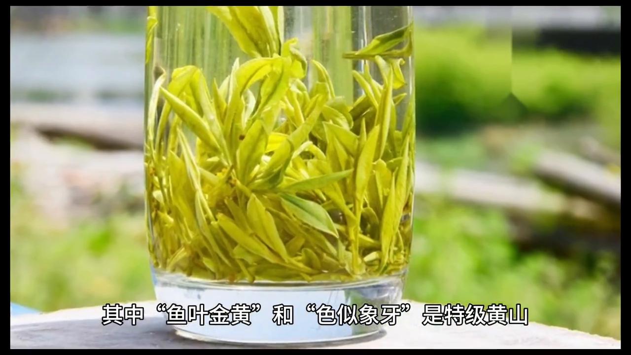 黄山毛峰属于名茶吗,黄山毛峰匠心名茶