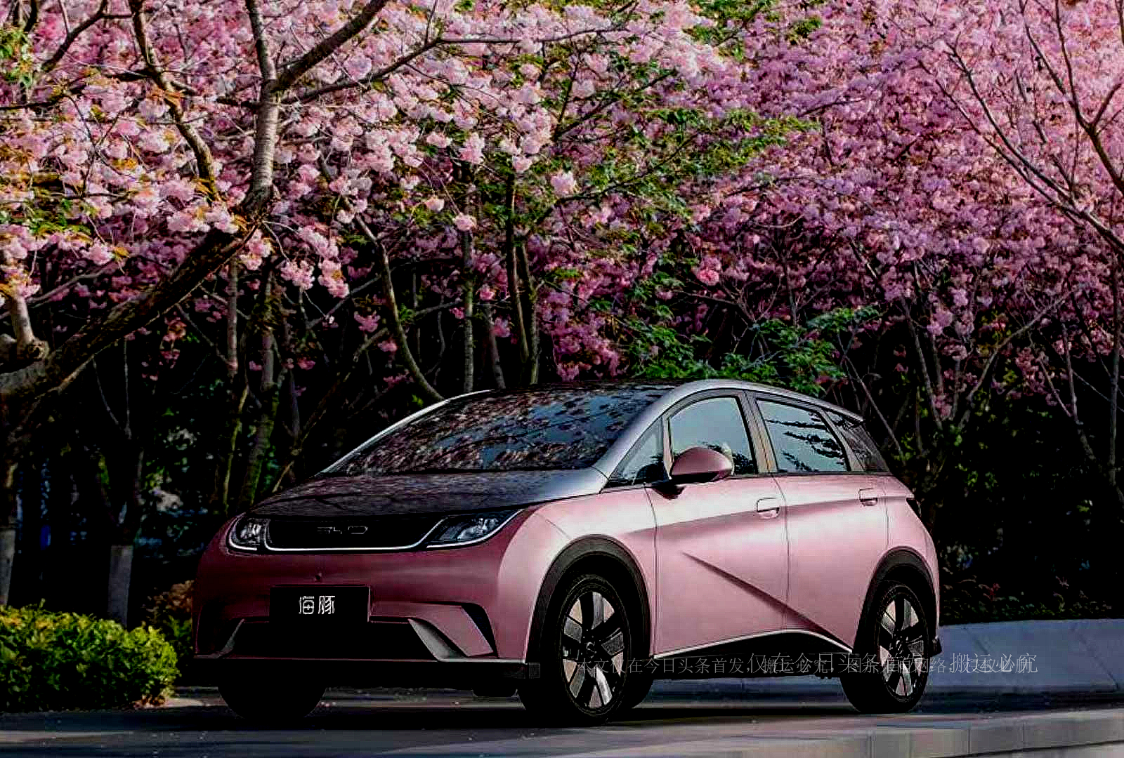 本田车跌落神坛,本田飞度不小心摔下山