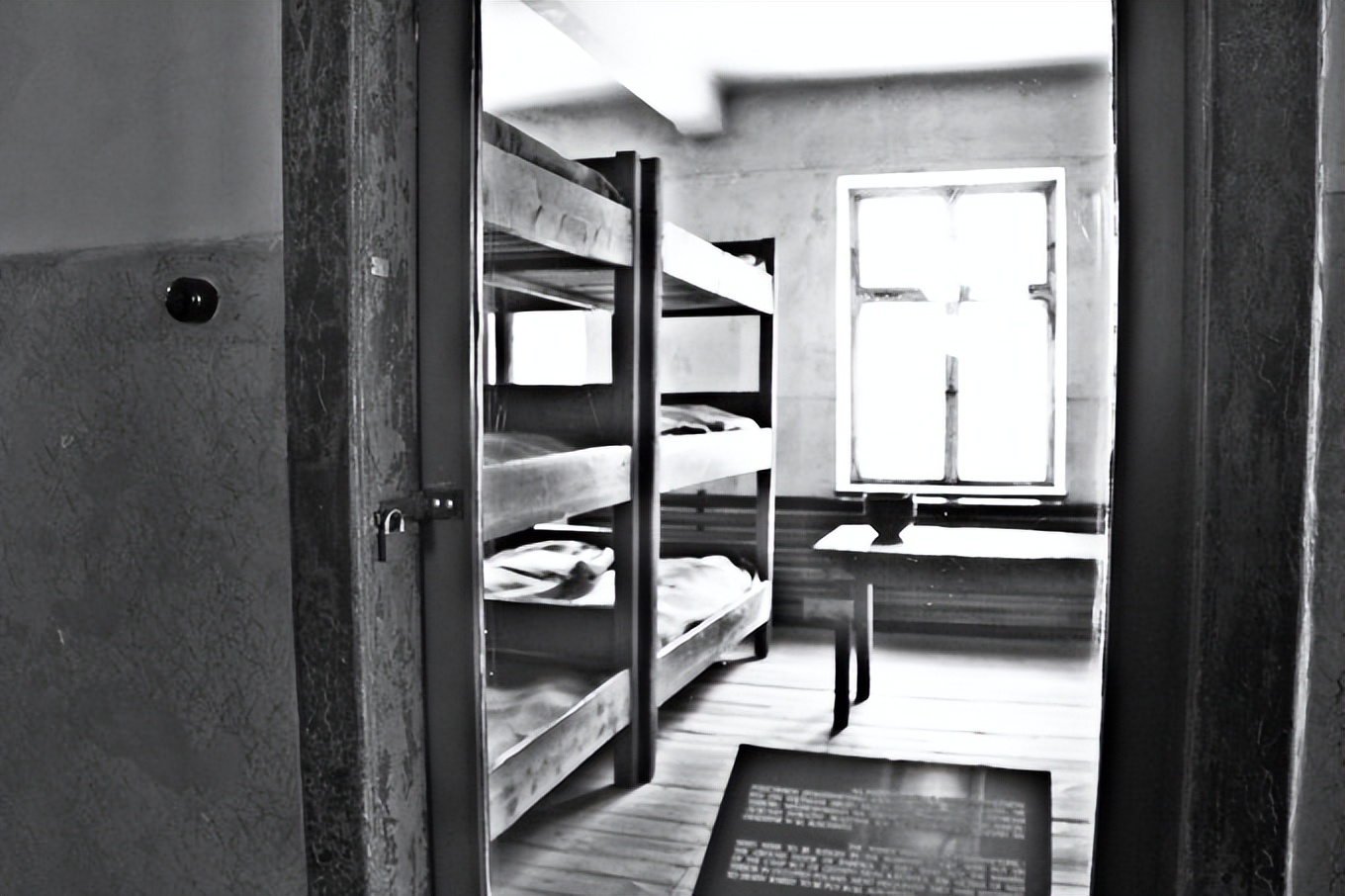 二战时期德国纳粹实验,二战德国最恐怖实验