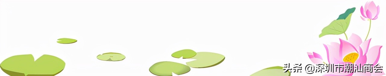 我与深圳的故事全集,我和深圳的创业故事