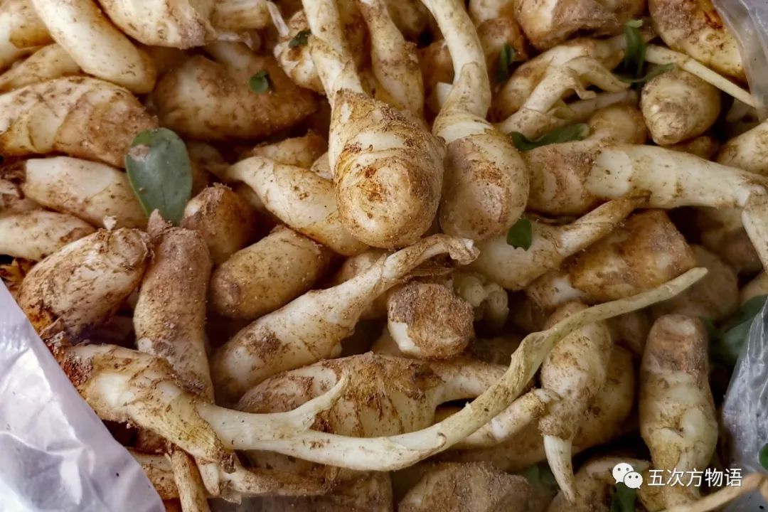 12种香料及分量,姜科植物的香料有哪些