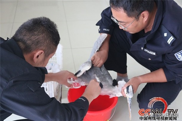 叶城公安派出所,公安服务群众有哪些内容