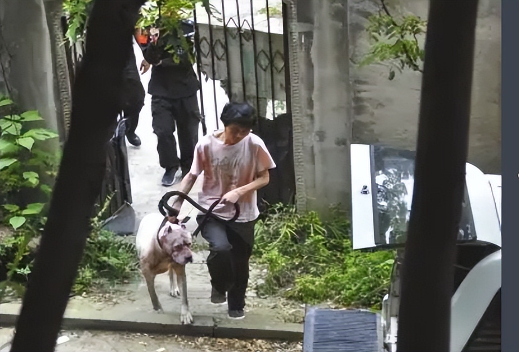 回顾贵州老人山上晨练，被杜高犬一路跟随，最终被2只杜高犬撕碎