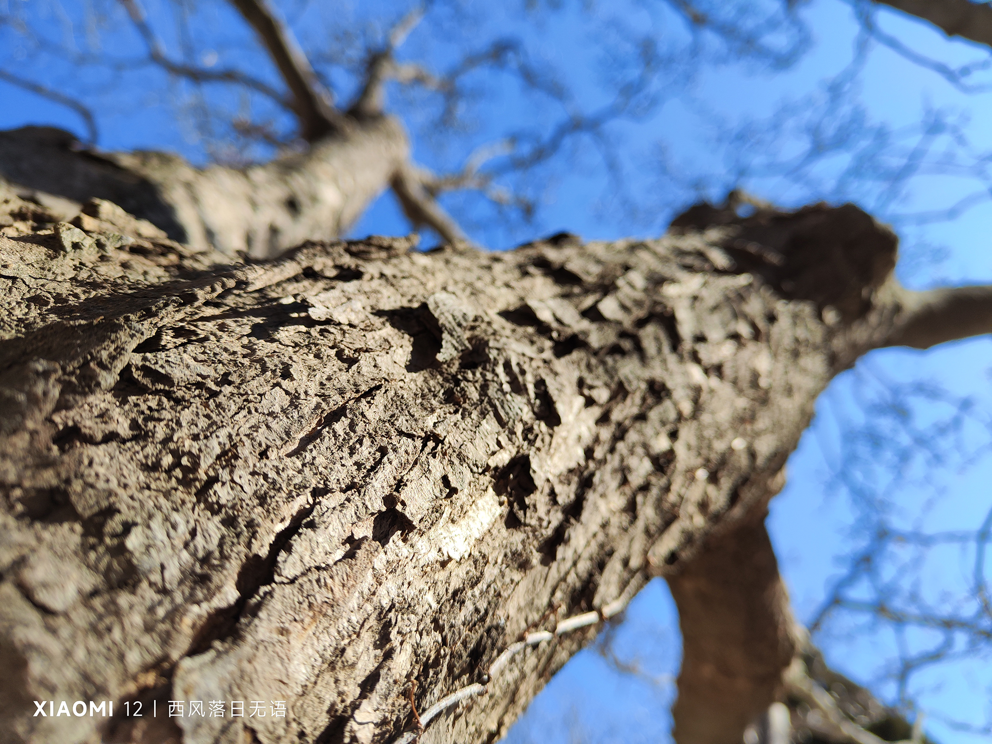小米12哪一款更值得入手,小米12还值得入手么最新