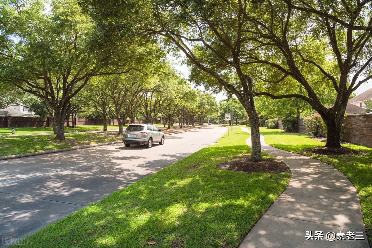 女作家去做保姆336,女作家去做保姆398