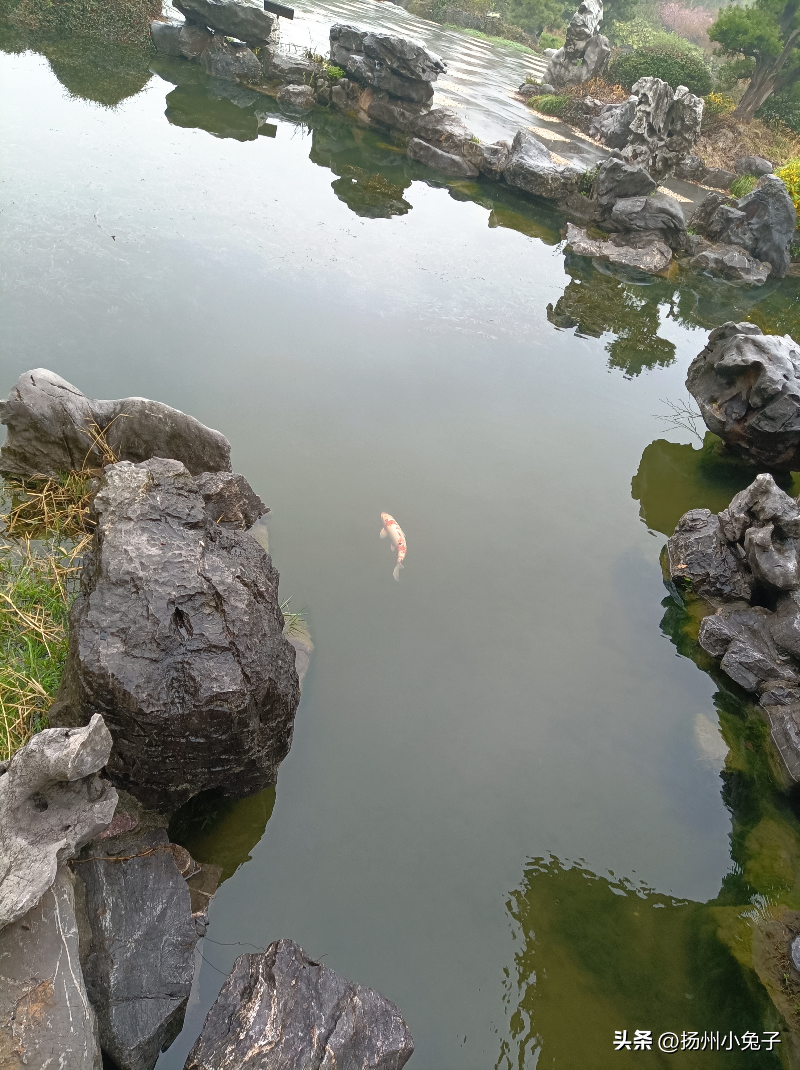 瘦西湖是下雨天去还是晴天去,瘦西湖下雨天能玩吗