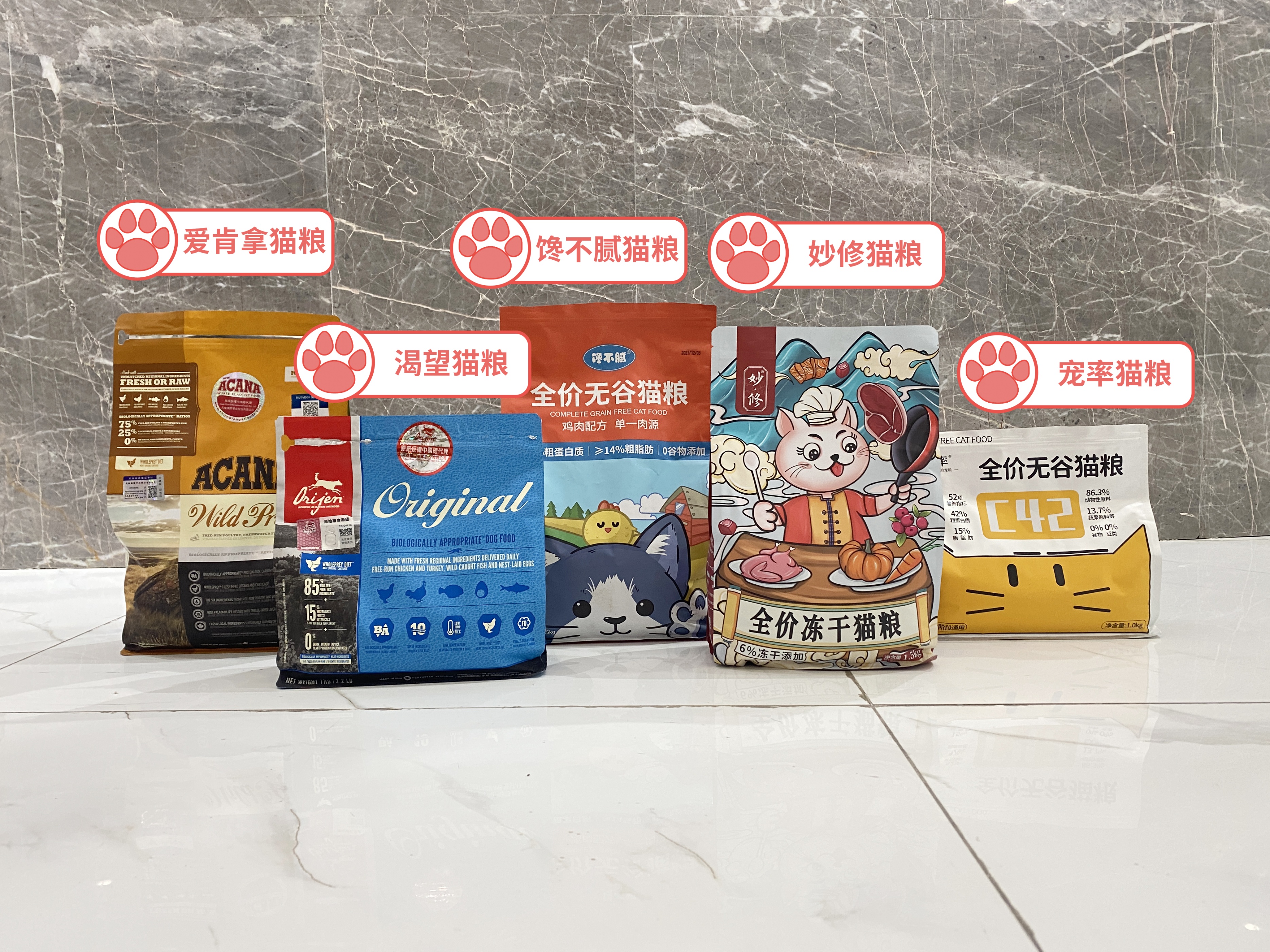 美国缅因猫可以养吗,为什么不介意养缅因猫