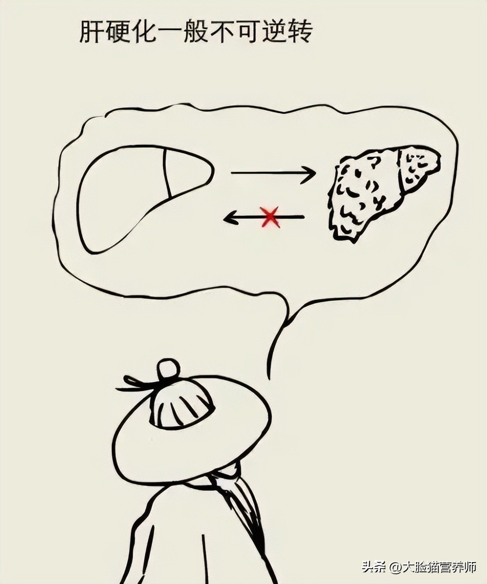 肝硬化肝衰竭的患者能吃什么,肝硬化怎么补充蛋白质食谱