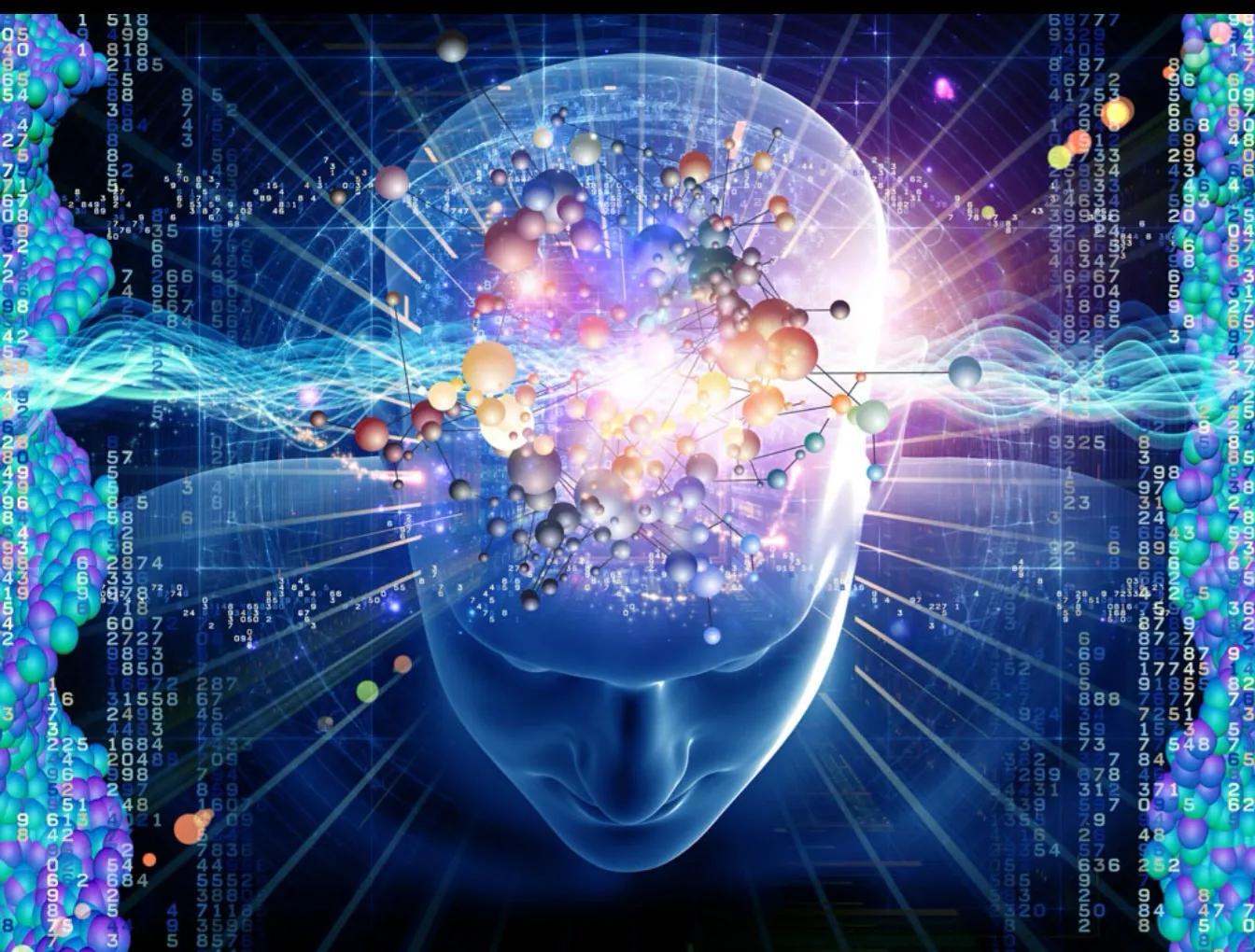 开发大脑潜能的方法,潜能开发之谜