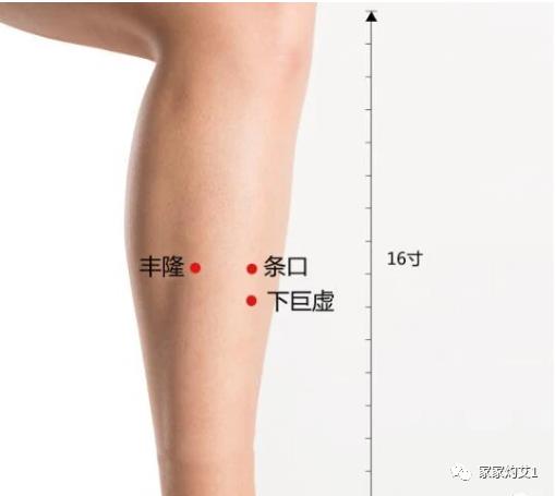 春季适合艾灸灸哪个位置,春季艾灸怎么灸