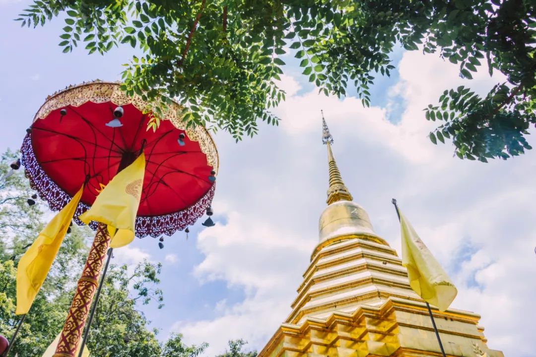 大数据推给想去泰国的朋友，万字长文玩转曼谷芭提雅