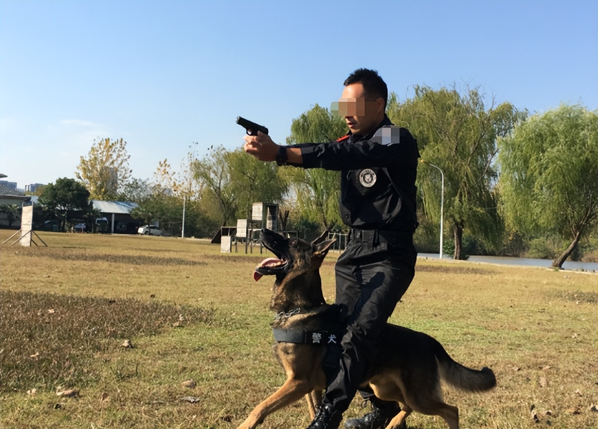 建国以来部队最大盗枪案,1982年河南神秘失枪案