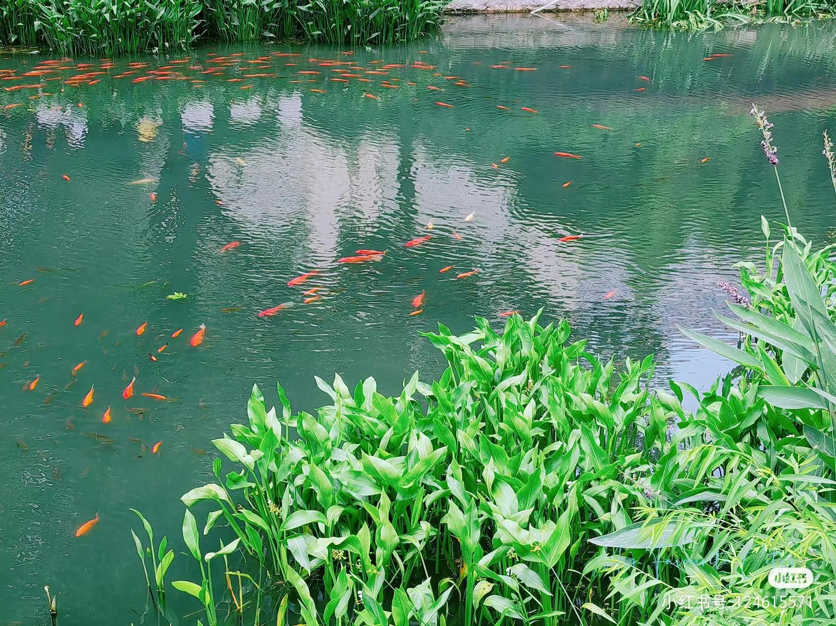 在南京旅游必须知道的90个常识,南京旅游最全攻略超实用