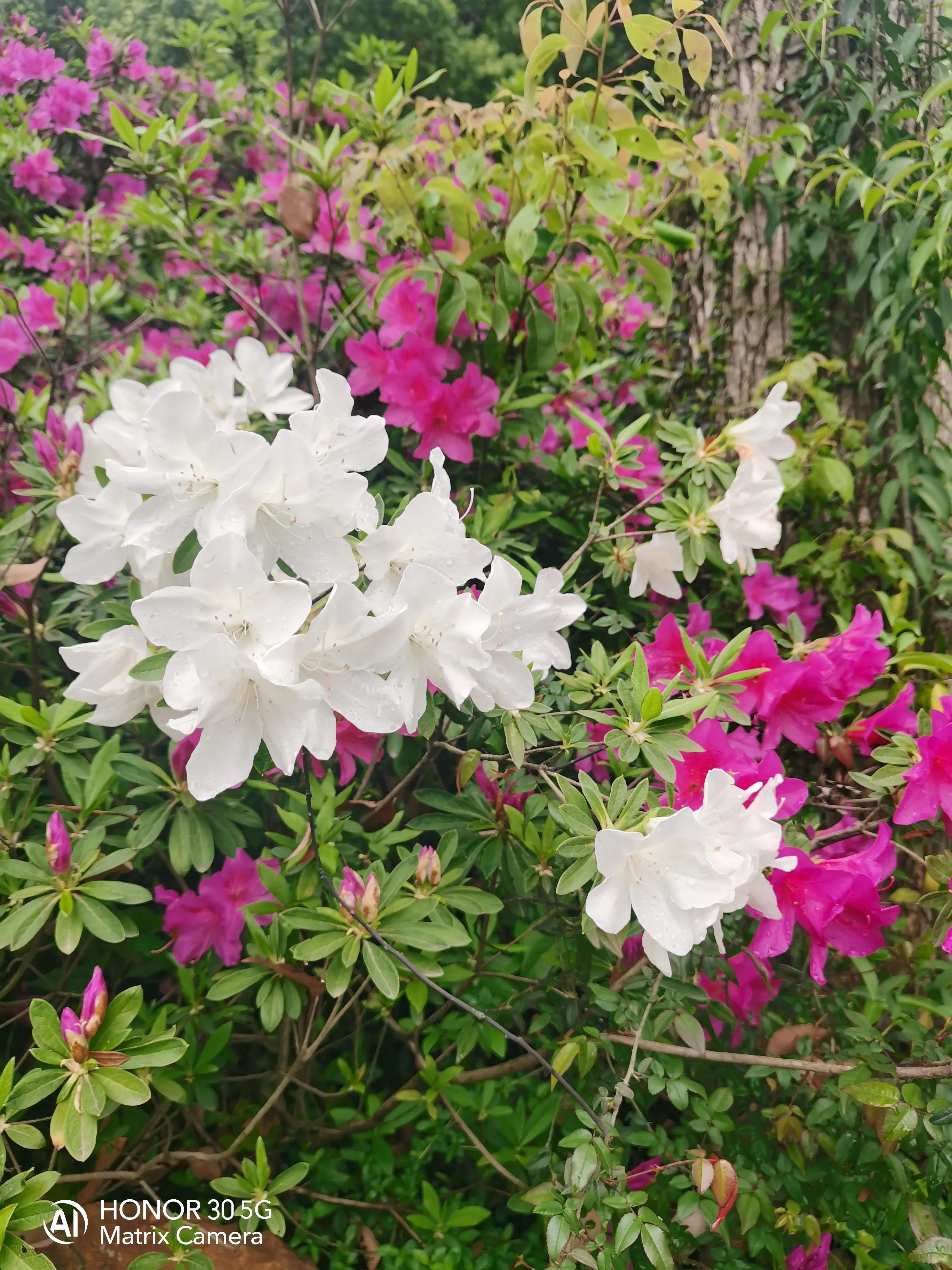 武汉到重庆三日游最佳攻略详细,武汉三日旅游攻略路线