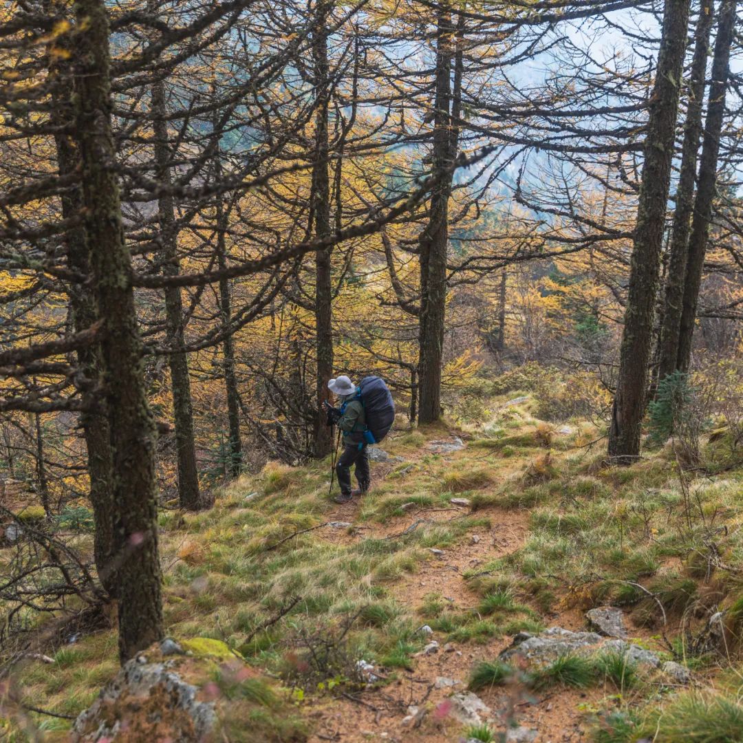 太白山是陕西最高点吗,秦岭最高峰太白山
