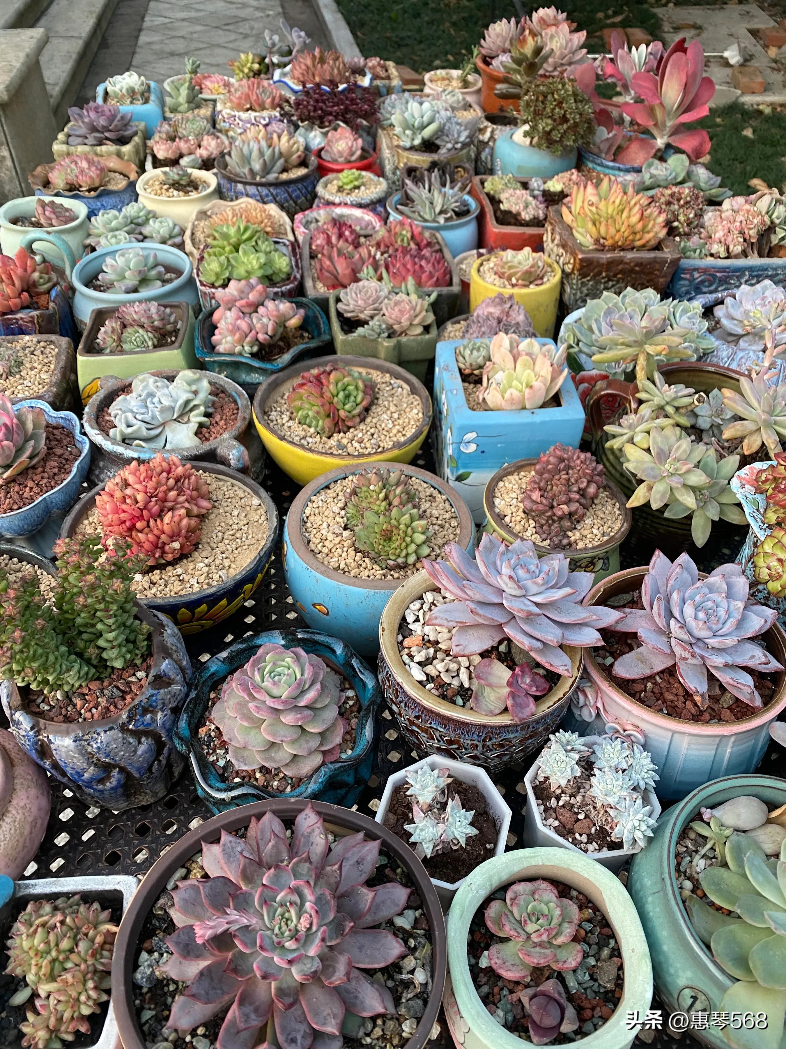 我的照片全部删了怎么找回来,我的照片图库在哪里