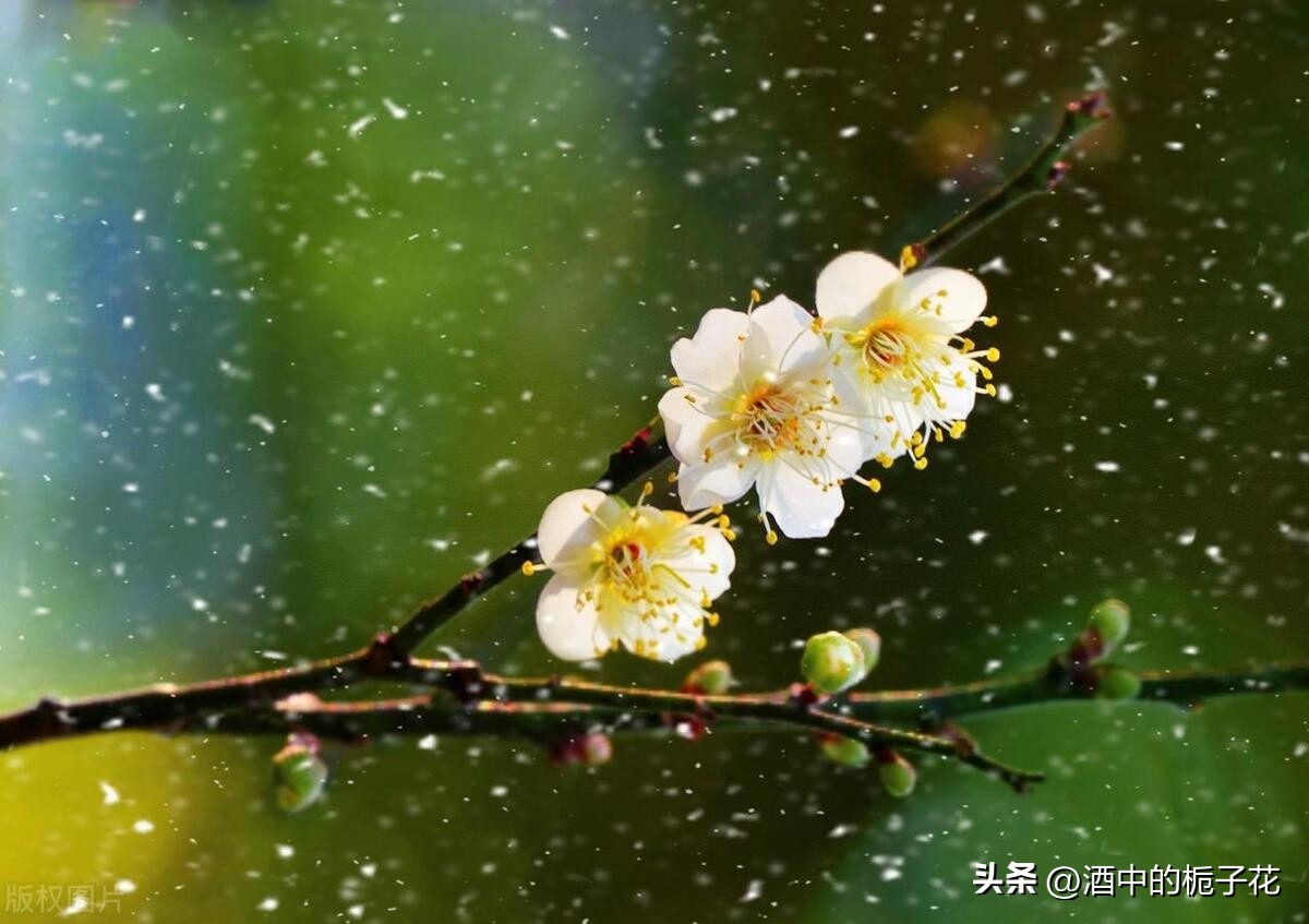 未来三天财运爆棚的三大生肖,财库大开运势吉星加护四大生肖