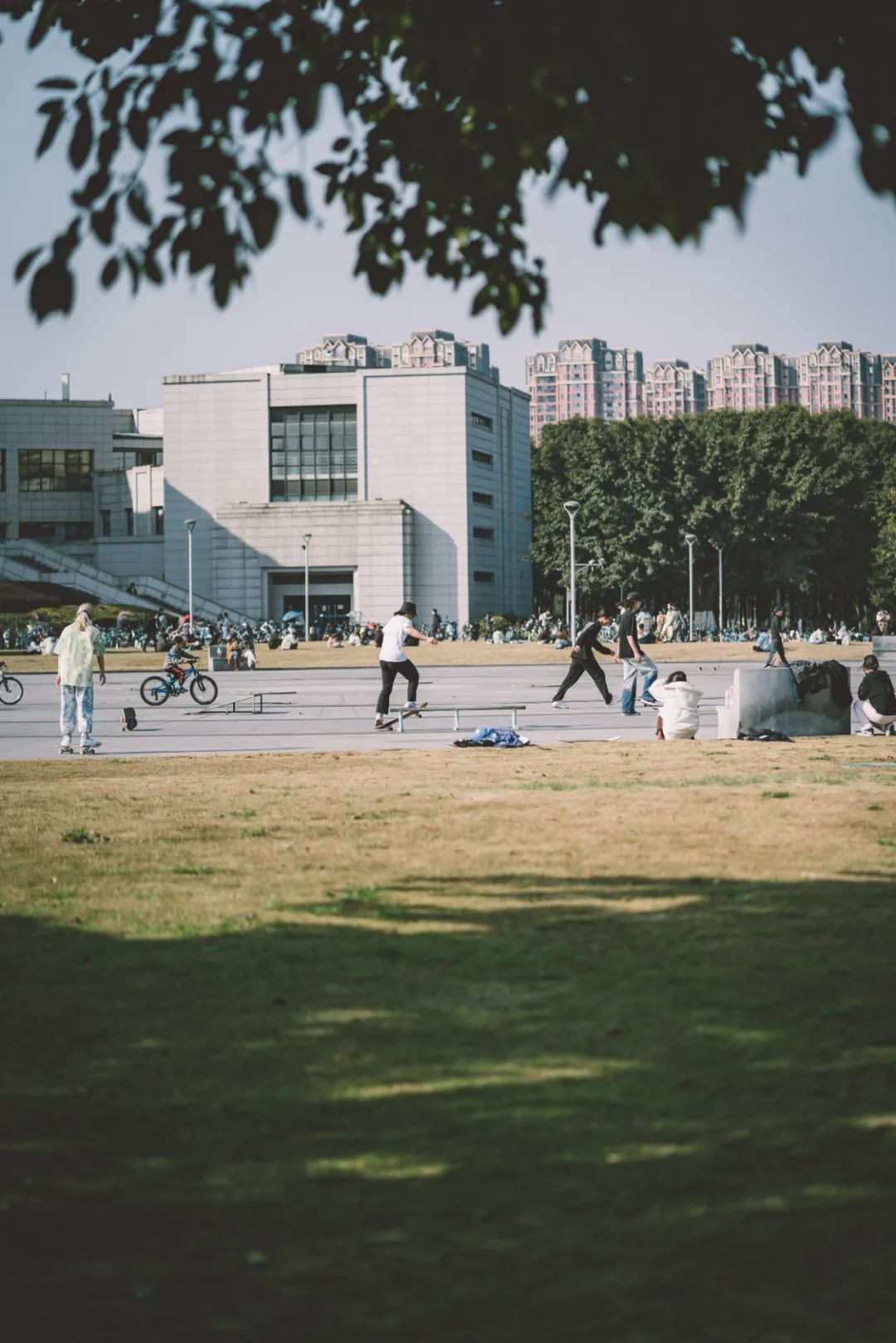 美美美，在阳光灿烂的成电遇见你~