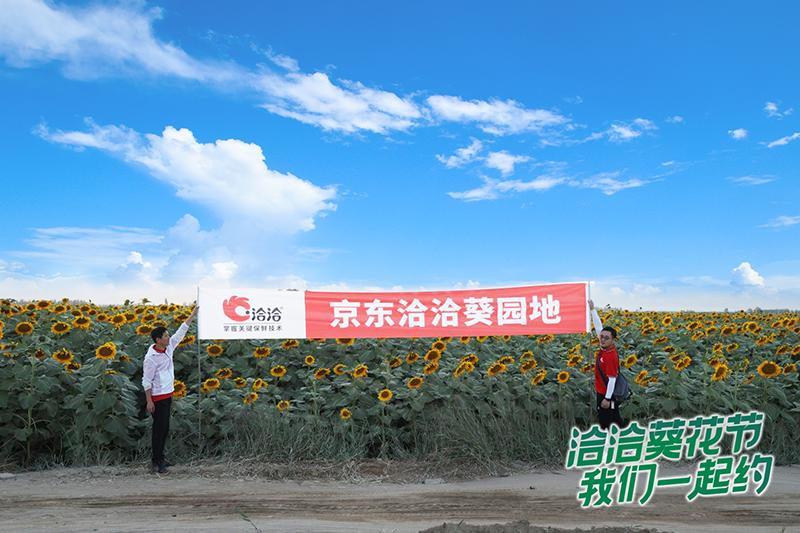 洽洽瓜子陈先保身价,洽洽瓜子创始人陈保先简历