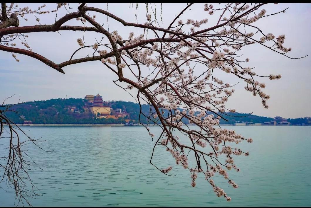 容易读错的诗词,古典诗词鉴赏与诵读