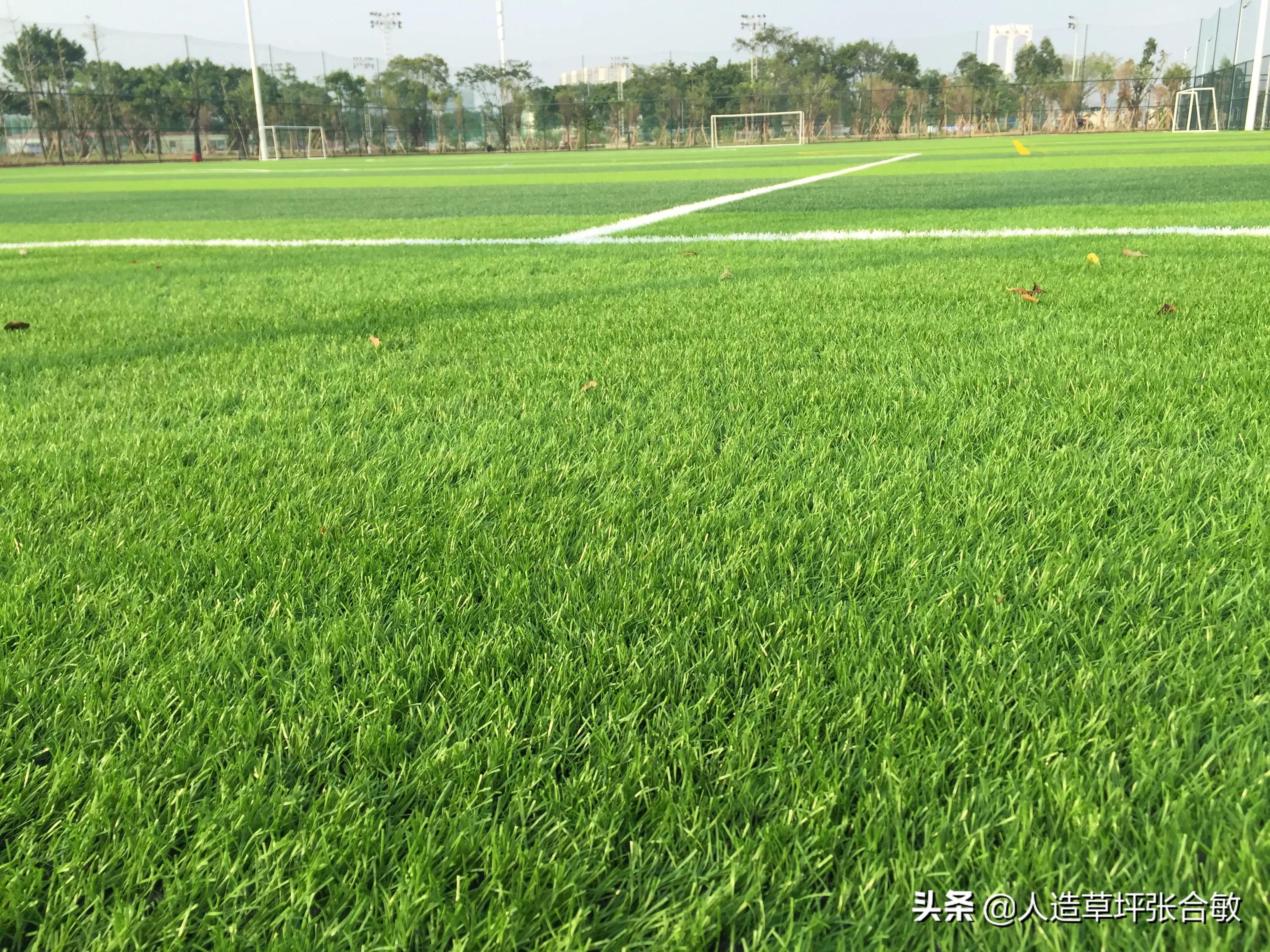 足球场草坪处理,校园足球场人造草坪铺设流程