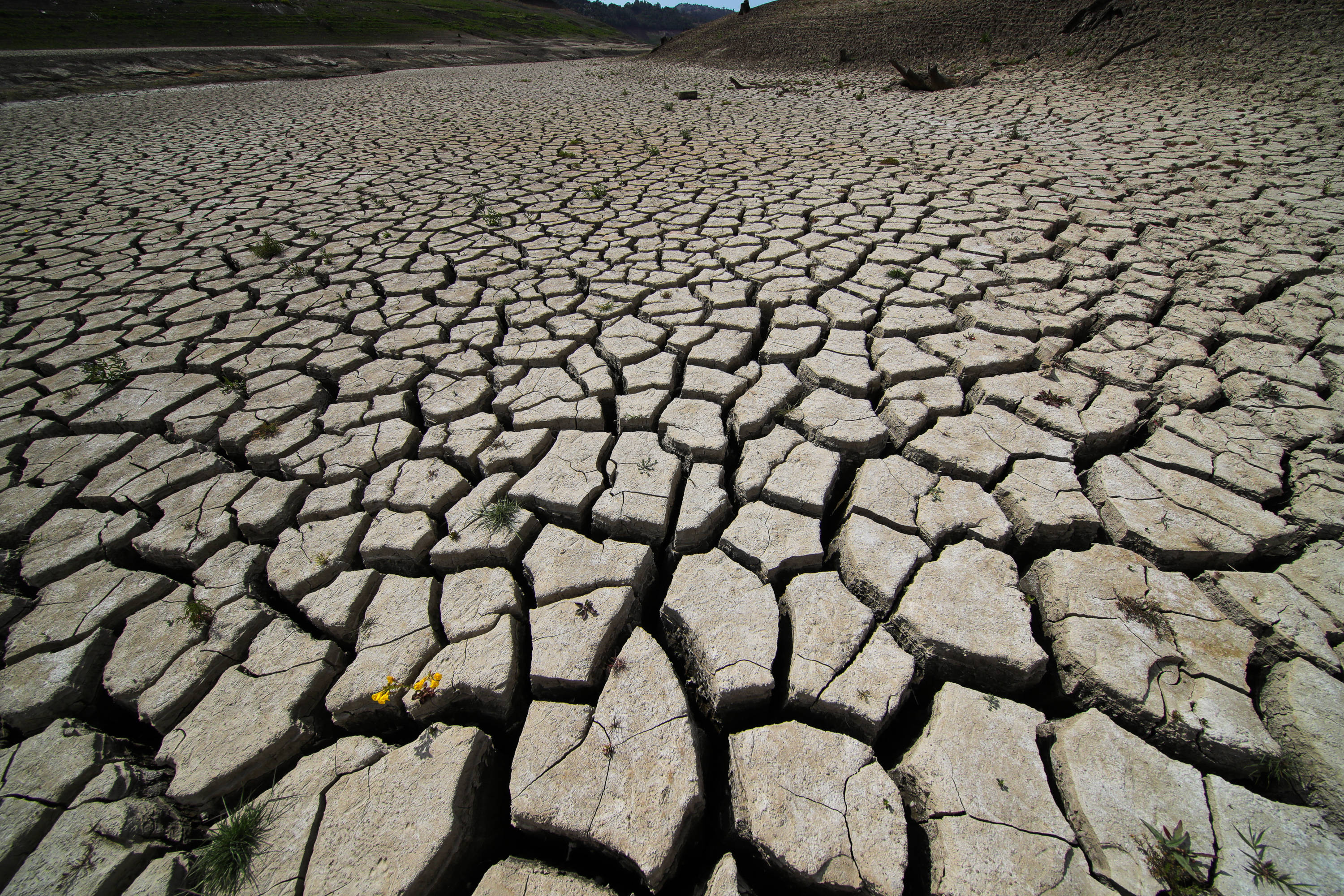 非洲大饥荒有多可怕？1年饿死1600万人，吃野草充饥犹如人间炼狱