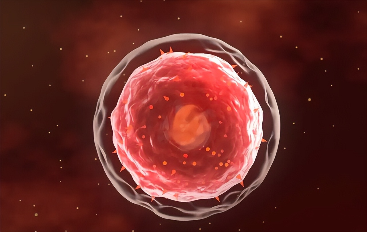 人类真的能杂交吗,人类动物能混血吗