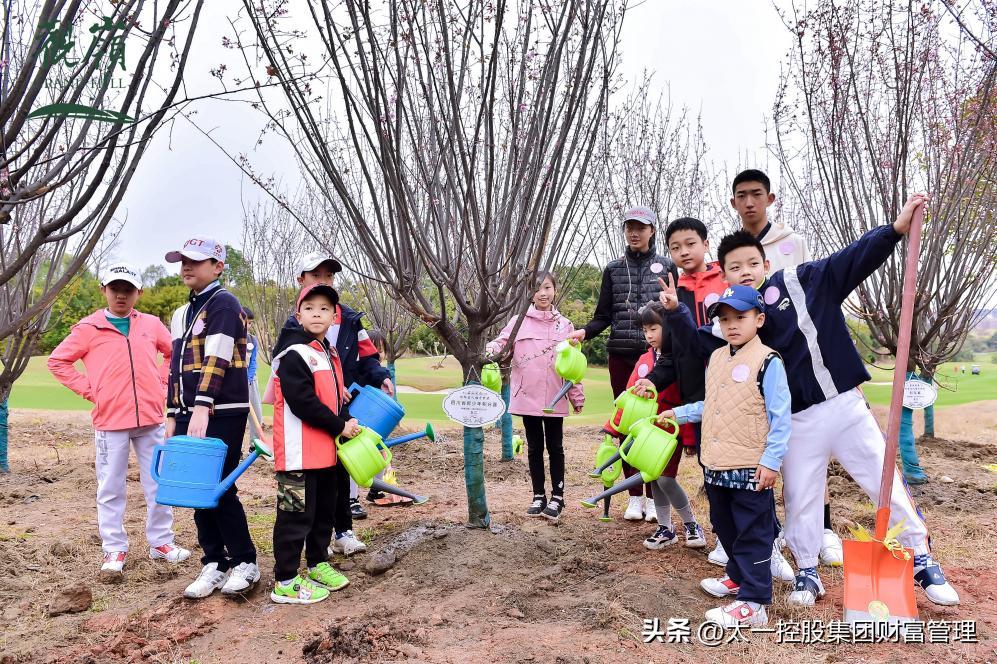 太一控股集团,太一集团与太一控股集团