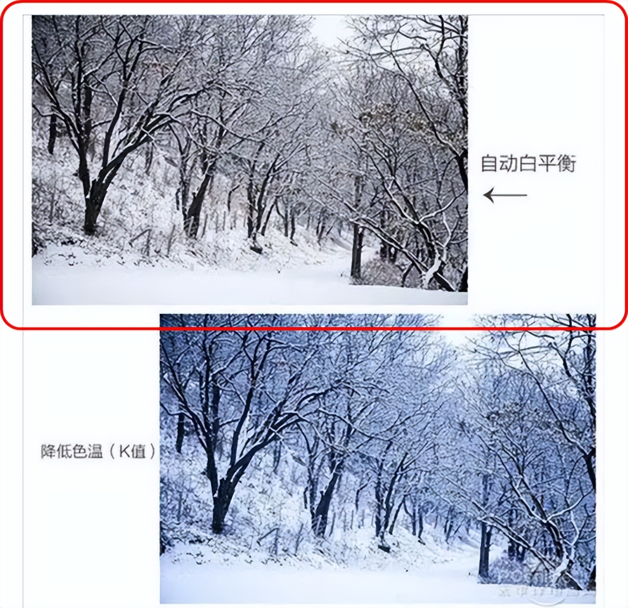 「一起学」安防-视频监控系统前端摄像机详解及后端相关设备简介