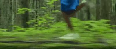 非去不可的理由完整版,非去不可的理由