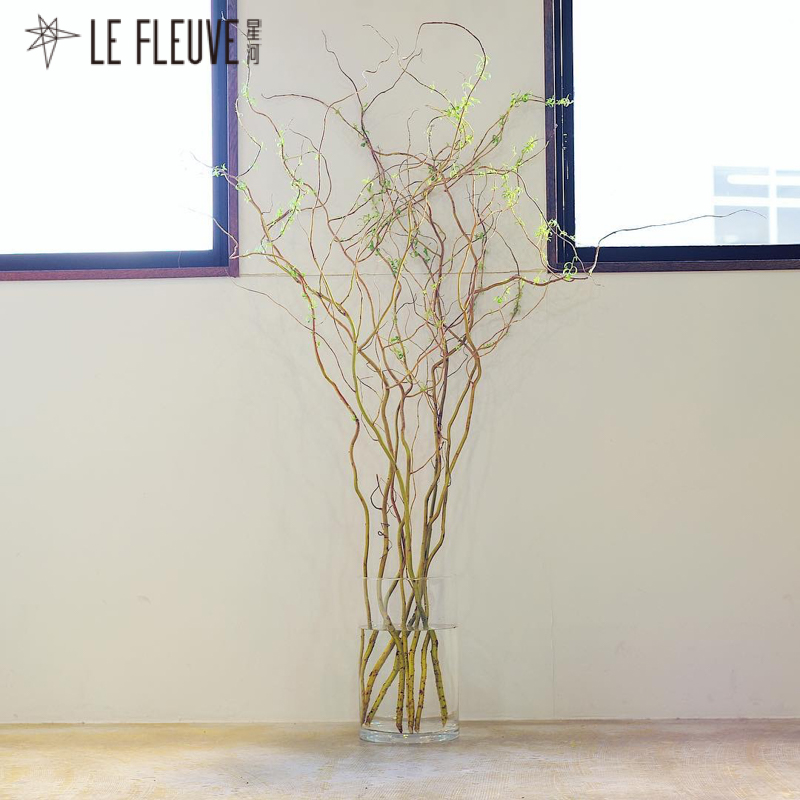 极简省钱又环保的居家生活,4款高颜值家居绿植