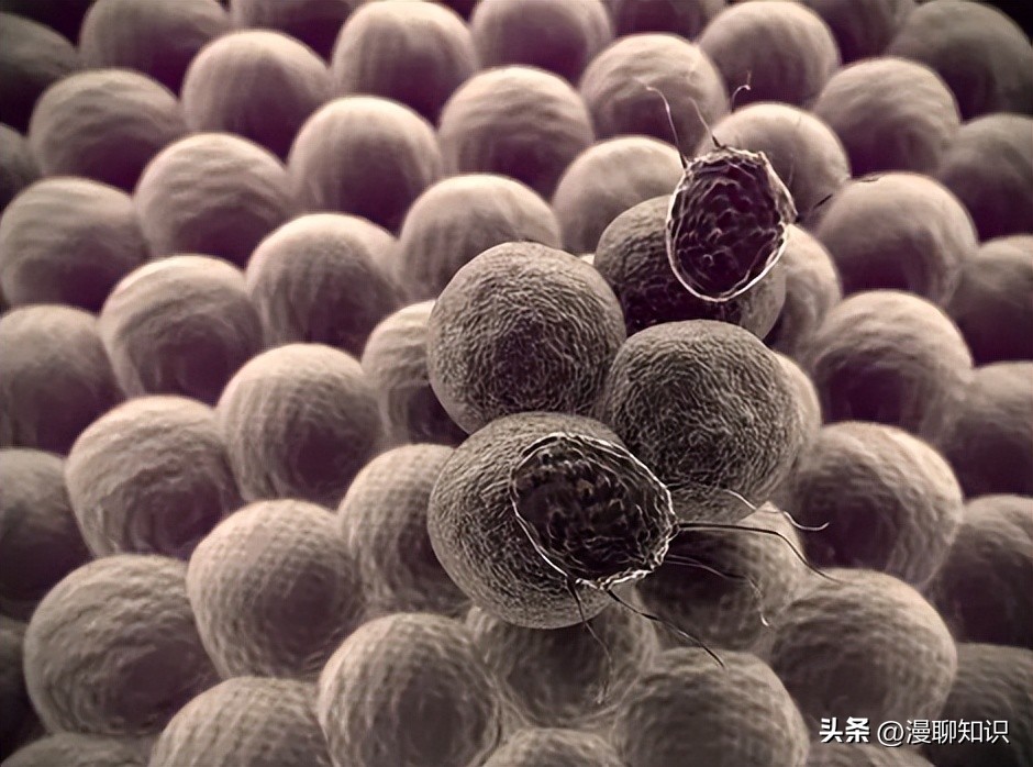 妇阴康洗剂效果怎么样,妇阴康洗剂是抗生素药吗