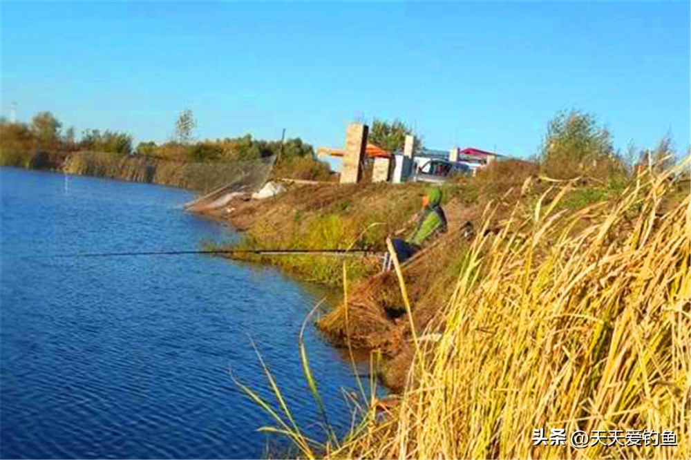 野钓最怕的天气是多少度,夏季野钓什么风向最好