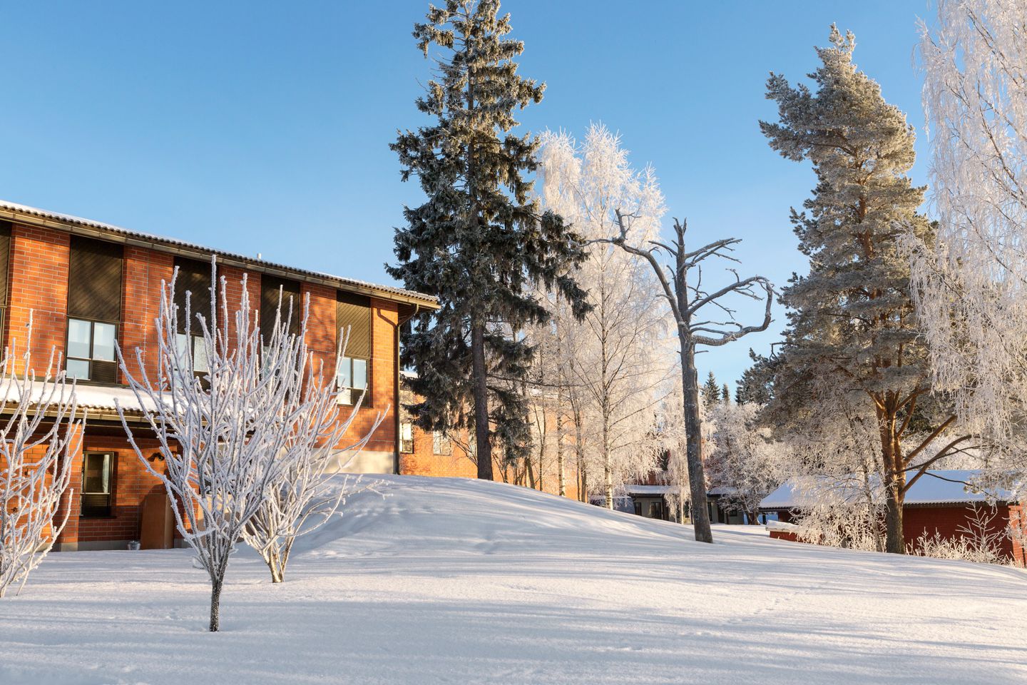 世界顶级音响品牌-芬兰GENELEC（真力）