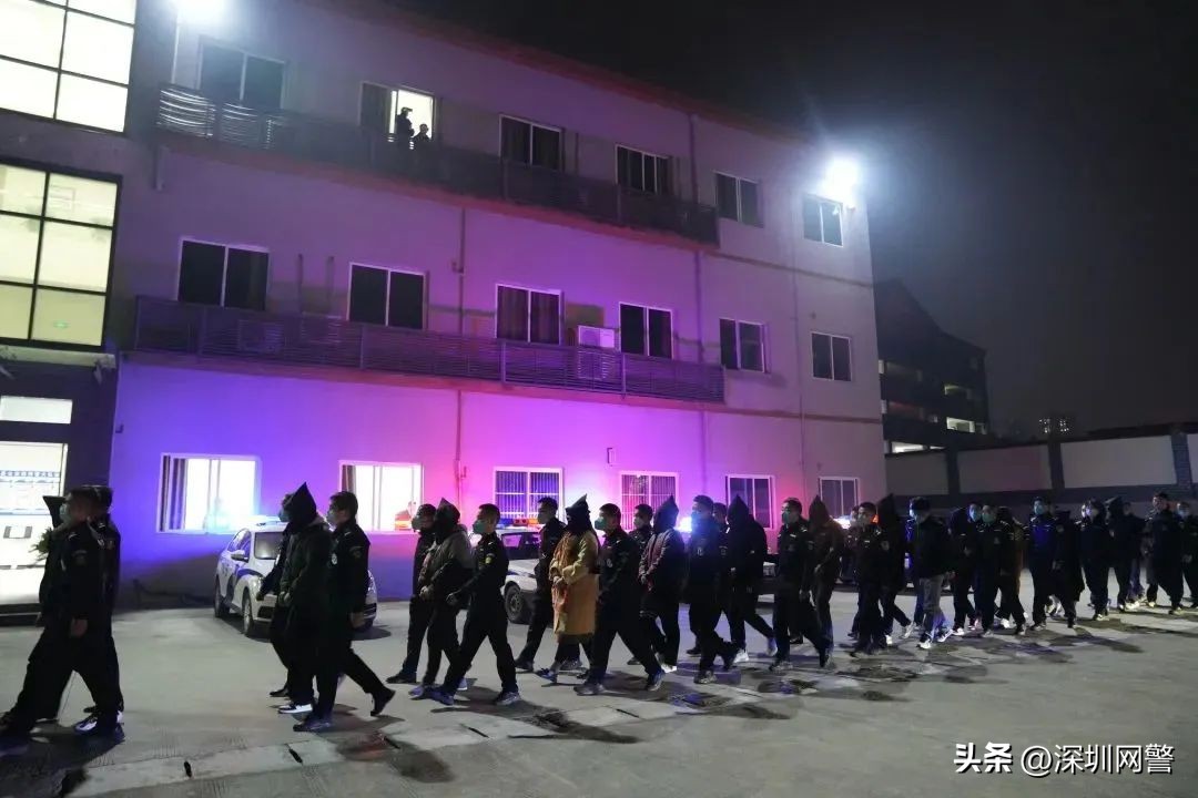 净网2021典型案件,净网谷受害者