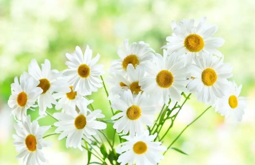 面部深层补水护肤美容文案,美容护肤小知识合集文案