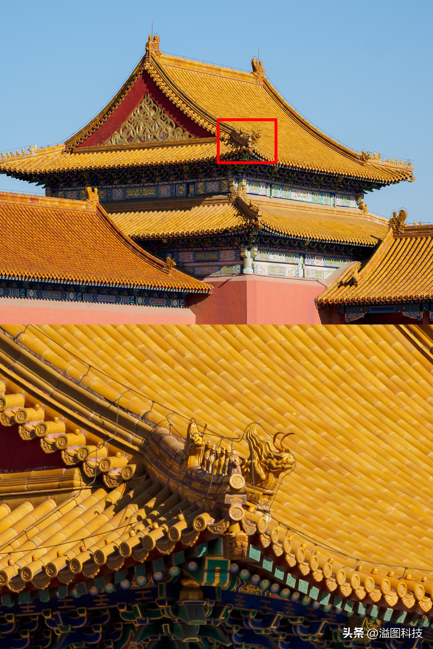 推介一款干活用的微单,新出的入门微单