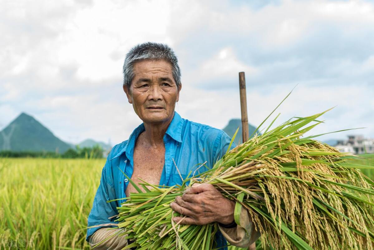 抖音三农直播带货需要什么条件,抖音三农带货需要什么资质