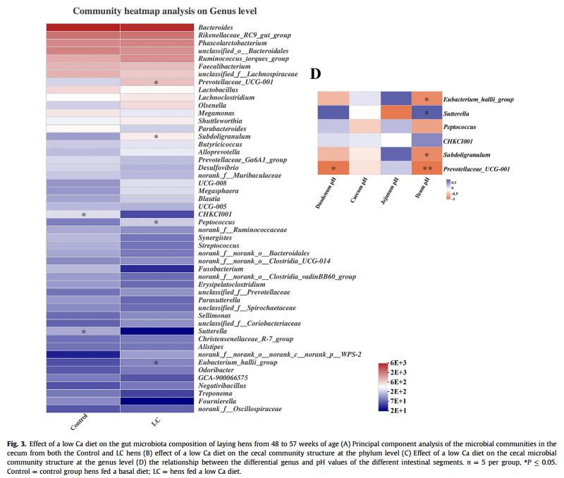 浣庨挋楗叉枡,浣庨挋鏃ョ伯