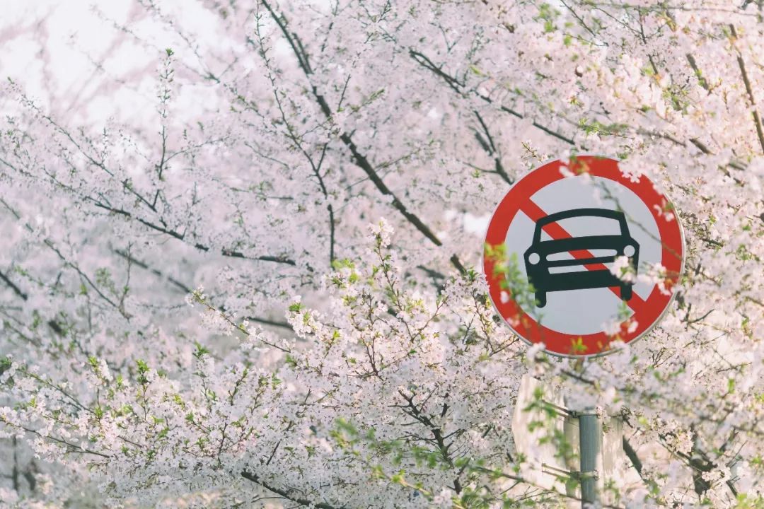 虹口体育场馆,虹口体育场旅游集散中心