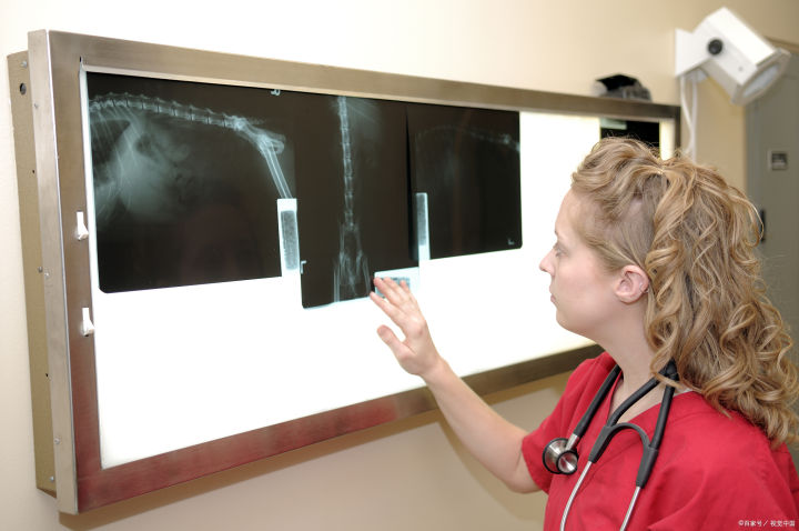 猫咪常见眼病的治疗方法,治疗猫咪常见疾病的几种药