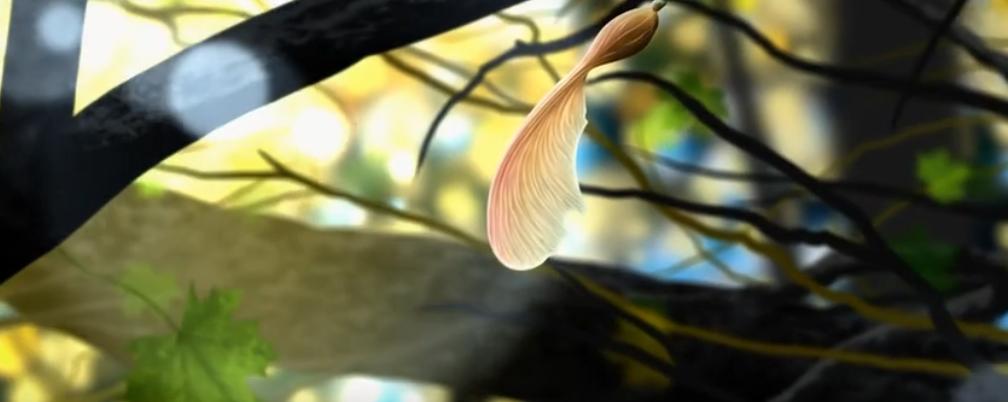 我的家庭影院梦，从听个响到全景声的成长之路~完结（十）