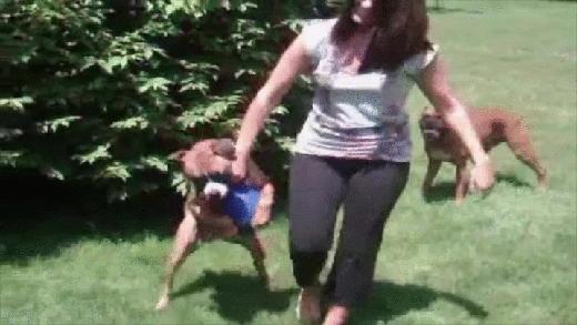 80个难得一见的图片,100个难得一见照片