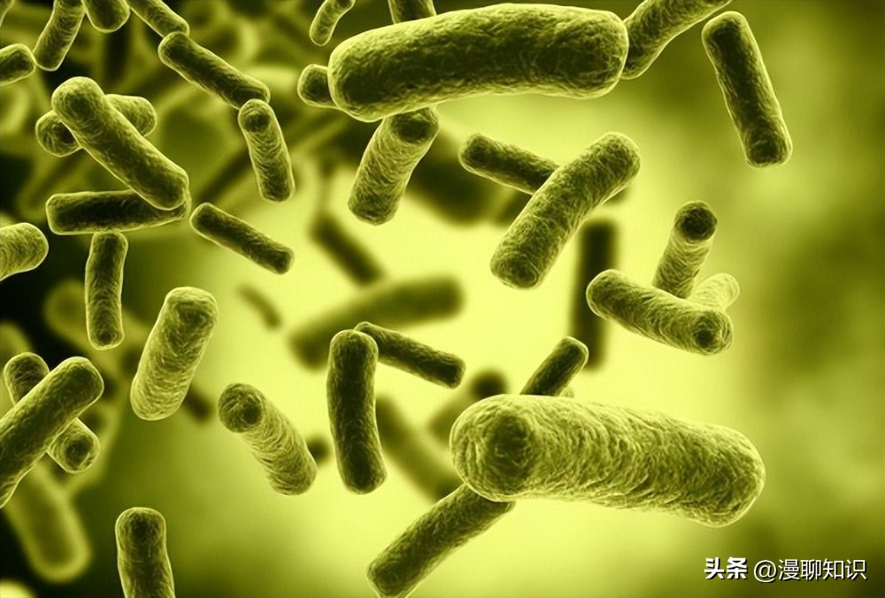 b族链球菌胎儿感染的概率多少,b群链球菌阴性孕妇